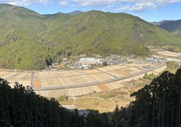 Forest_photo_海陽町_山林写真