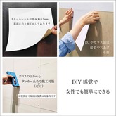 Photo__修正_同梱スチール小
